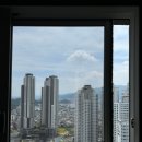 퍼펙트쉴드