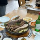기운찬 염소농장 네이버블로그
