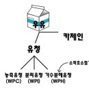 클래스윔 스포츠센터 이미지