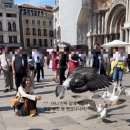 4공단로1R-57 | 맛초킹을 찾아서 > 이탈리아 • 바티칸 시티