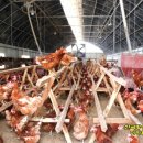 자연 제1농장 이미지