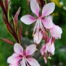 국토토지행정사사무소 이미지