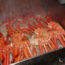 왕돌회수산 이미지