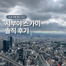 좋은날오후 | 시부야 스카이 예약 꿀팁 날씨 안 좋은 날 다녀온 솔직 후기