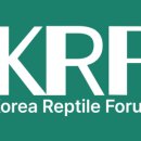 깜크