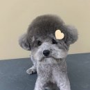 러브몽먼트 이미지