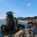 해파랑길 13코스 이미지