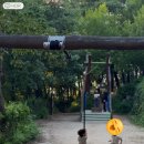 들꽃한의원 이미지