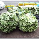 청도추어탕식당 이미지