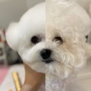 용해사우나 이미지