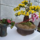 문화조경 - 함양군 운림1길 20 | 문화조경