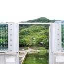 정금교