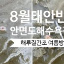 8월 태안반도 안면도 여름휴가,여름방학,광복절 해수욕장별 해루질 간조, 물때 포인트(장소) 추천 초보...