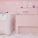 순수하개 이미지