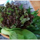 홍천가든 이미지