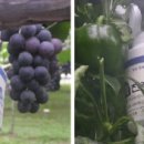 순동농장 이미지