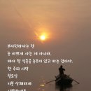 고핏피트니스