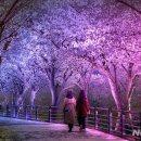 덕풍천동로 이미지