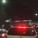 참하다참치 이미지