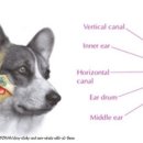 세정 온누리 약국 이미지