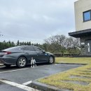 백화stay 이미지