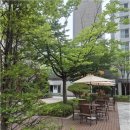 수명산부자부동산공인중개사사무소 | 신뢰할 수 있는 마곡엠밸리 부동산, 제대로 된 선택을 고민하신다면 꼭 참고하세요