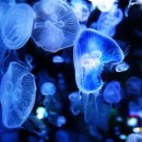 쌍용메디칼 이미지