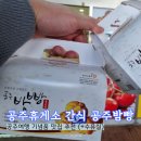 공주고속도로(당진) 휴게소 | 당진영덕고속도로 공주휴게소 | 간식맛집 기념품으로 공주밤빵 추천 (+수유실)