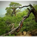 새마을교 이미지