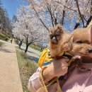 덕분이야모든개 이미지