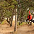 월하당민박 | 진도 신비의 바닷길, 쌍계사 등(21. 3.28)