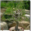 산청농장 이미지