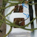 김성문농장 이미지