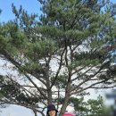 멋다리펜션 이미지