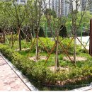 인천부현동초 이미지