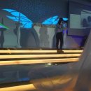 신안비치호텔 이미지