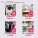 서울플러스 종합 동물병원 이미지