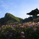 산성의 아침 이미지