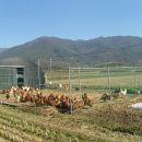 희망을일구는여성농민 영농조합법인 이미지