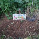 꼬망세어린이집 이미지