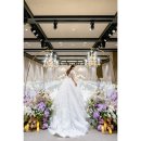 스테이그라피 이미지