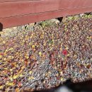 순두부식당 이미지