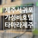 코지다이브