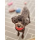 오늘도 너에개 이미지