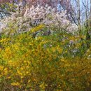 경춘로120번길 이미지