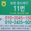 소망청과 - 목포시 차범석길 32 | 소망청과