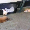 삼형제푸드 이미지