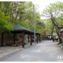 빼올약수터 이미지