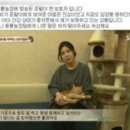 현씨농장 이미지