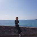 주식회사 와따제주 | [ 제주 한달살기 ]190206 제주 액티비티 추천, 제주 빅볼랜드 빅볼 & 조브 가격